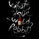 wild_rabbit
